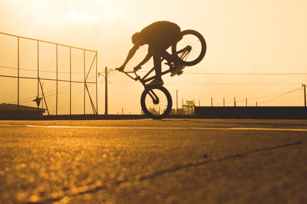 THE BIRTH OF THE BMX FREESTYLE MOVEMENT THE BIRTH OF THE BMX FREESTYLE  MOVEMENT BMX HISTORY