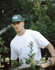 Latitude Green