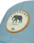 Elefante azul / laranja