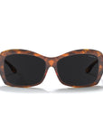Atlas Brown Tortoise / Black