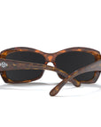 Atlas Brown Tortoise / Black