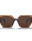 Sequoia Brown Tortoise / Brown