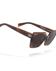 Sequoia Brown Tortoise / Brown
