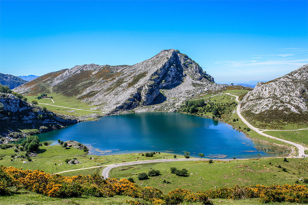 the indian face lagos de covadonga