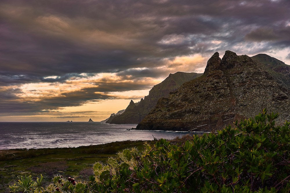 Descubre las Islas Canarias en primavera: un paraíso en medio del Atlántico