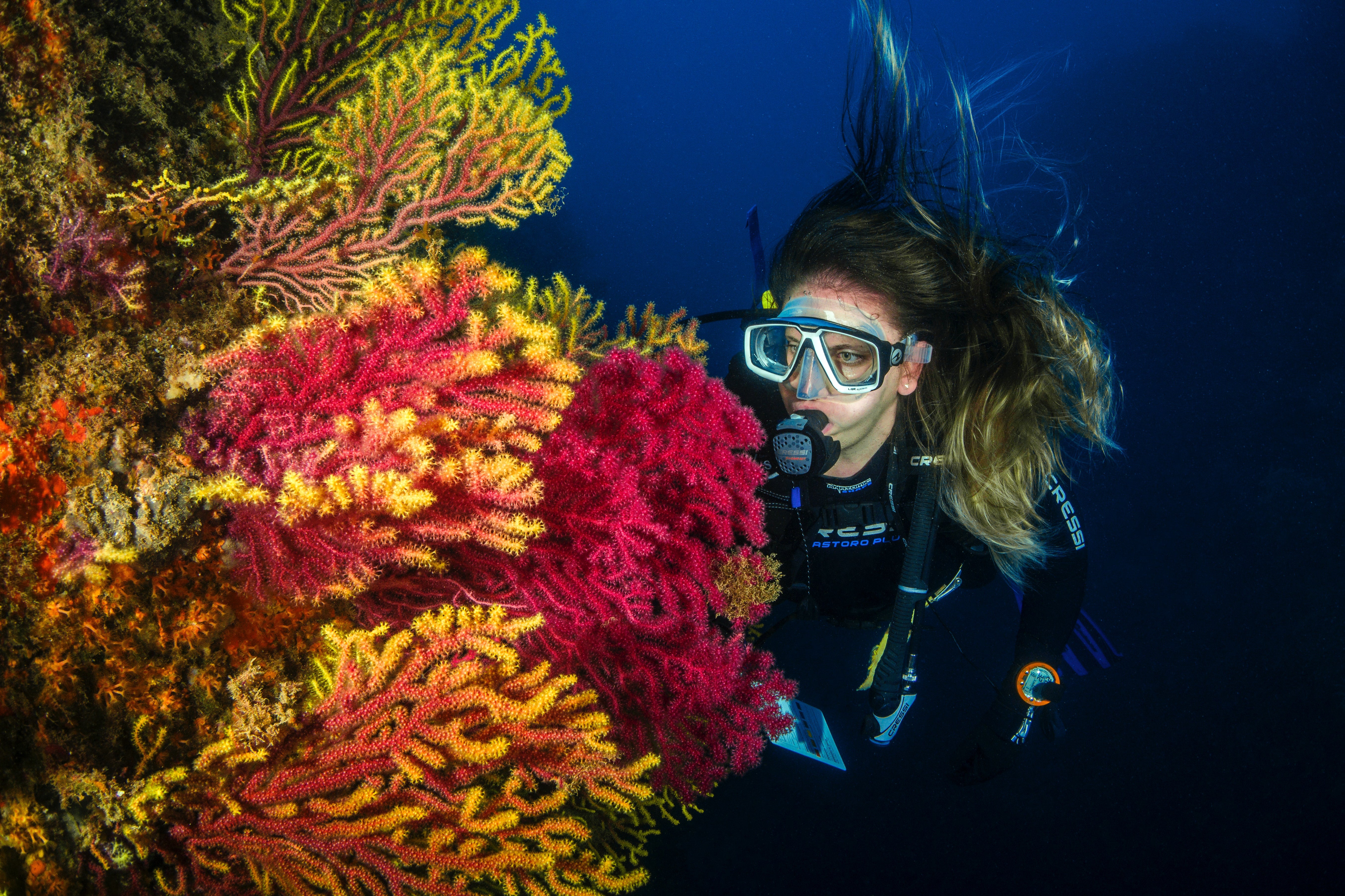 La protección de la Gran Barrera de Coral ¡Toda una belleza natural!