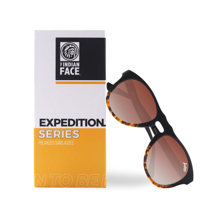 Expedition Tortoise / Brown